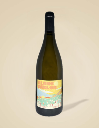 Blanc Sablon - Domaine des Sonnettes