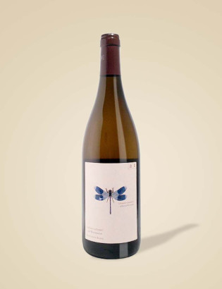 Blaue Libelle - AT Wein - Andreas Tscheppe