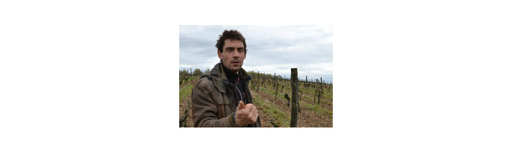 Domaine Thomas Batardière - Anjou - Vins naturels